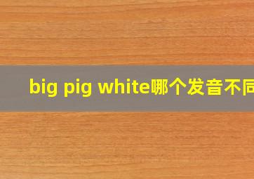 big pig white哪个发音不同